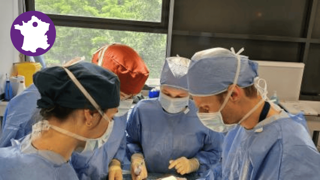 Bannière visuelle de présentation de la formation