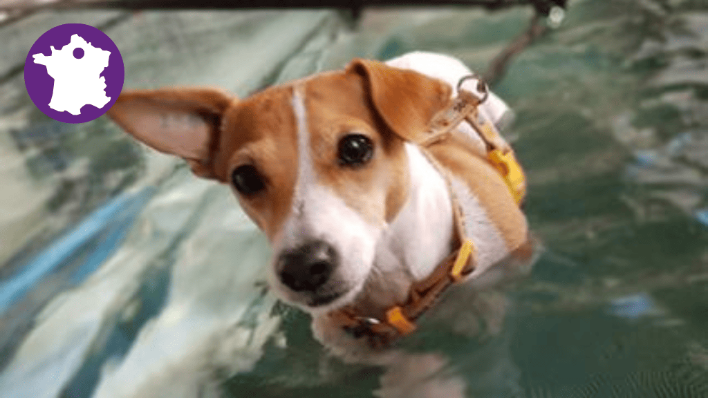 Bannière visuelle de présentation de la formation