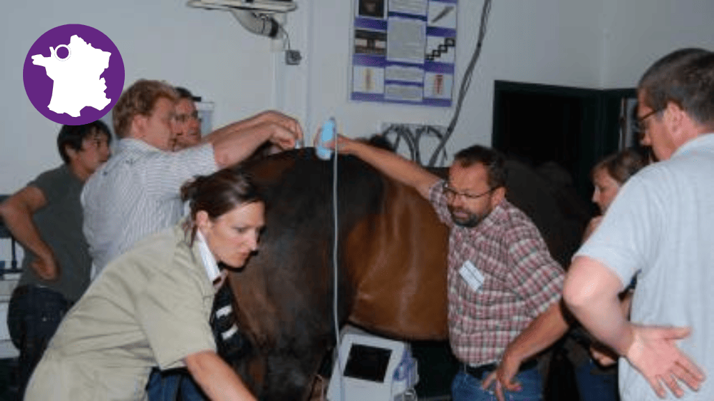 Bannière visuelle de présentation de la formation