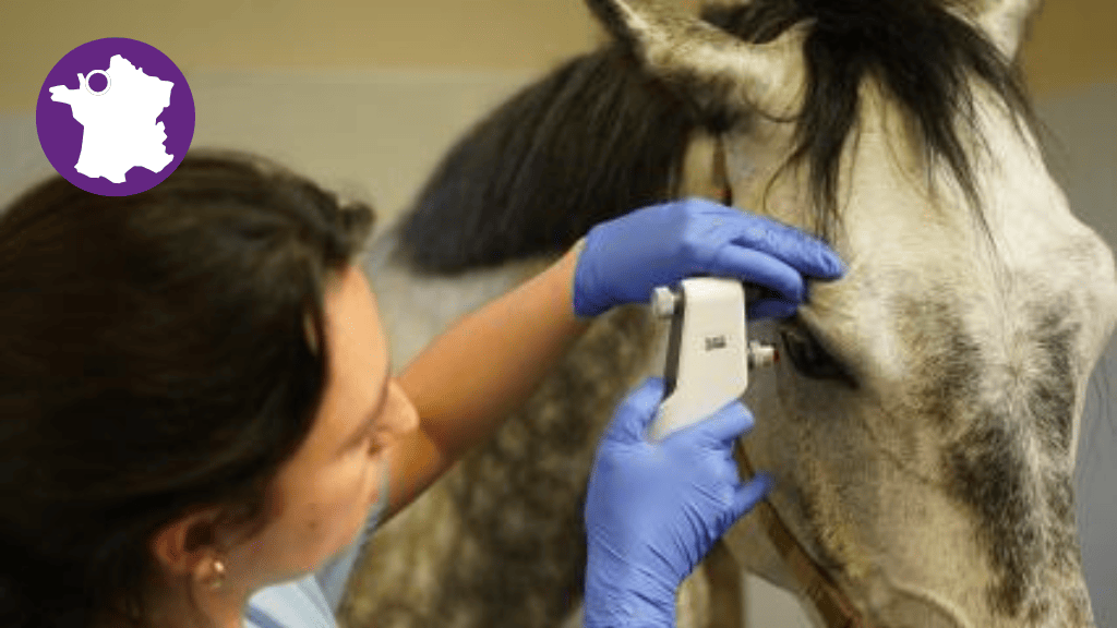 Bannière visuelle de présentation de la formation