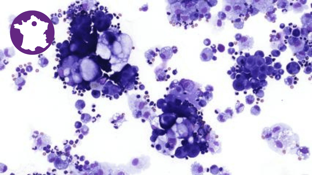 Bannière visuelle de présentation de la formation