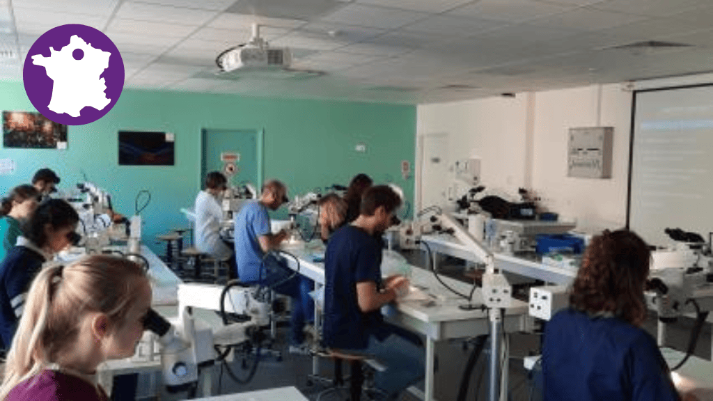 Bannière visuelle de présentation de la formation