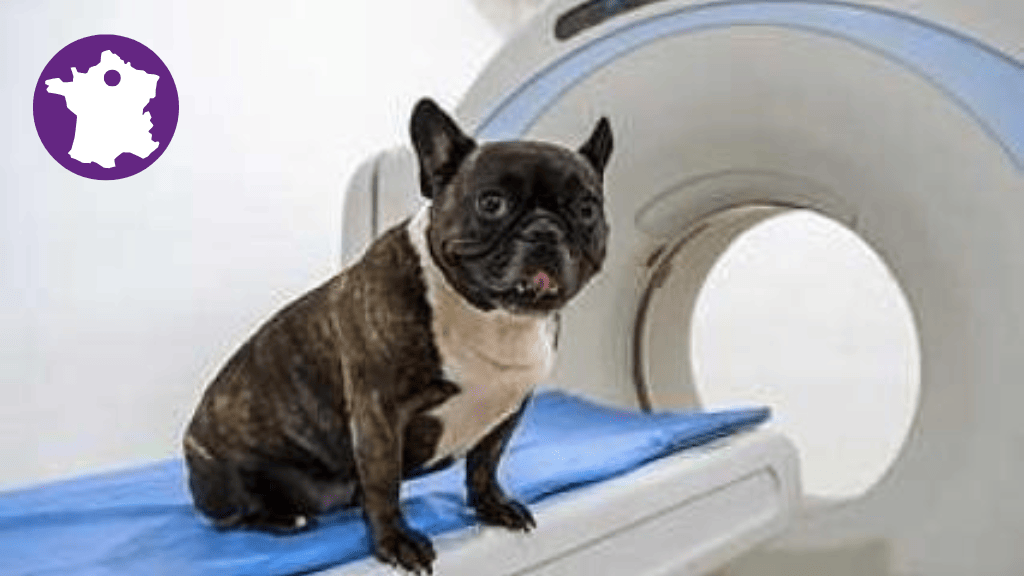 Bannière visuelle de présentation de la formation