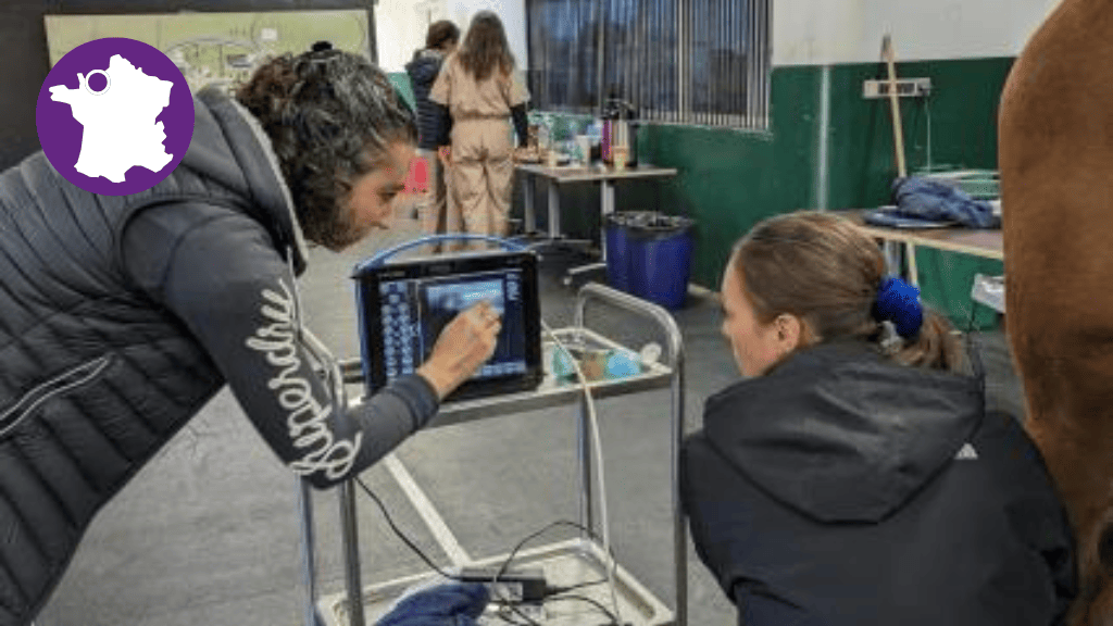 Bannière visuelle de présentation de la formation