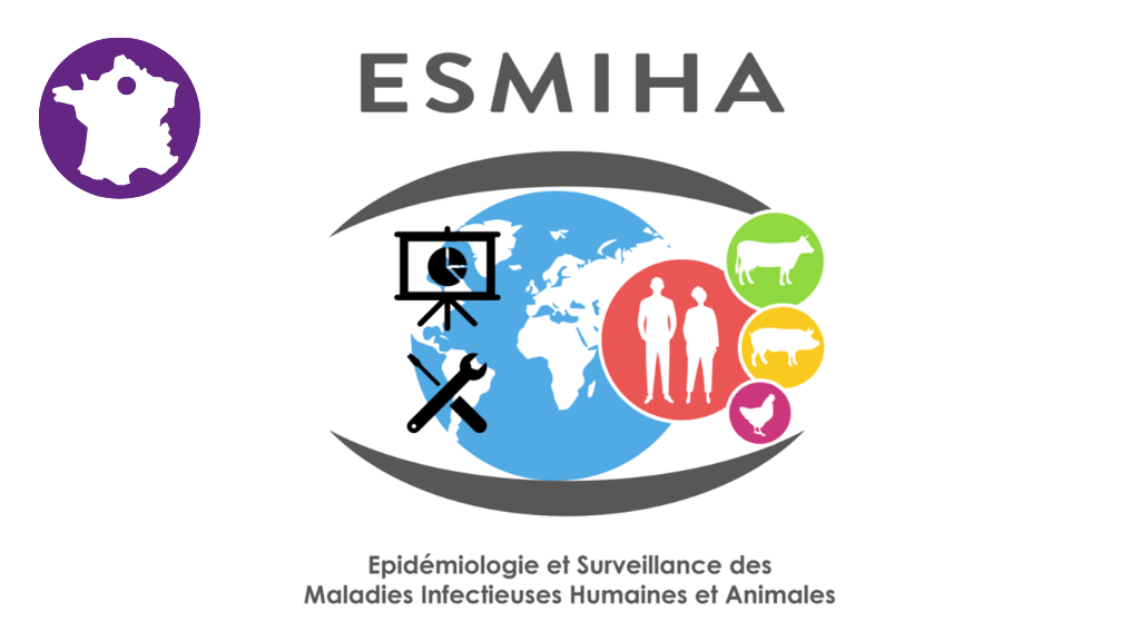 Bannière visuelle de présentation de la formation