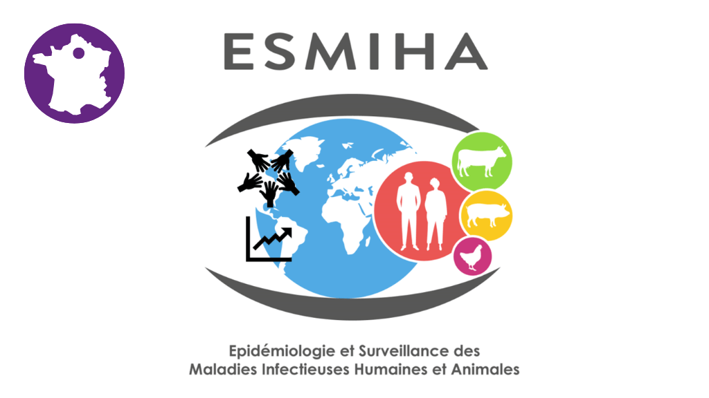 Bannière visuelle de présentation de la formation