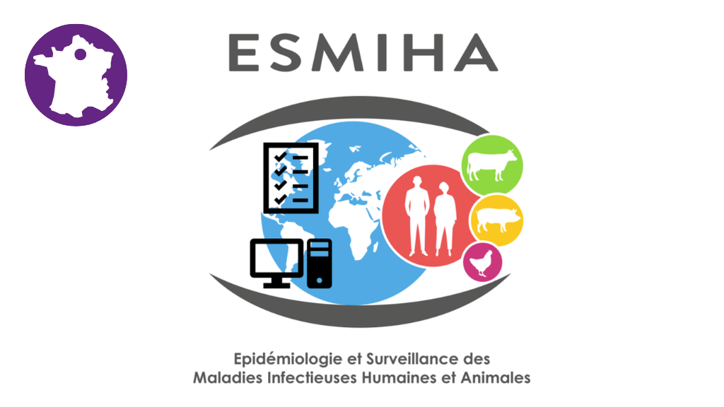 Bannière visuelle de présentation de la formation