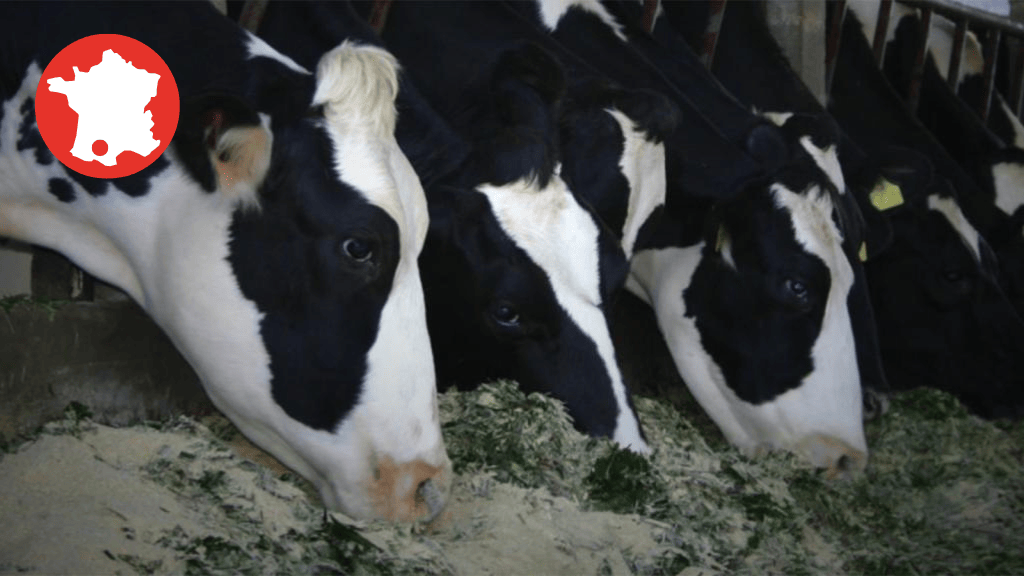 Bannière visuelle de présentation de la formation