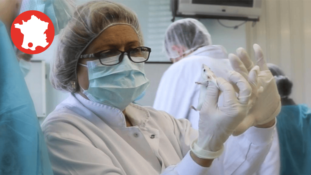 Bannière visuelle de présentation de la formation