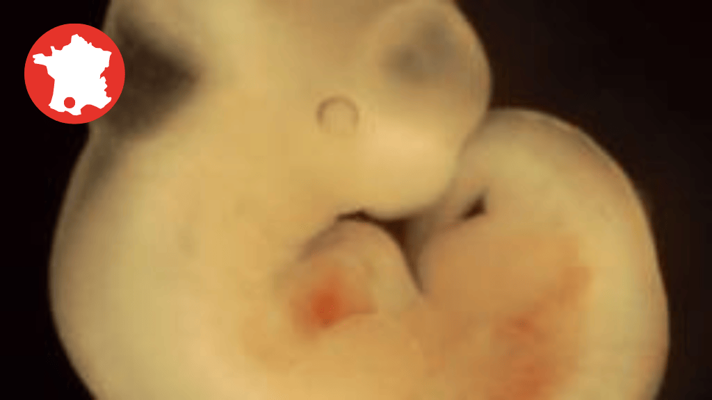 Bannière visuelle de présentation de la formation