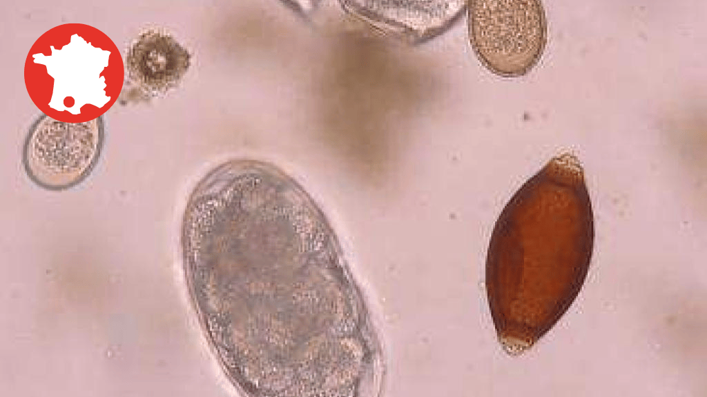 Bannière visuelle de présentation de la formation