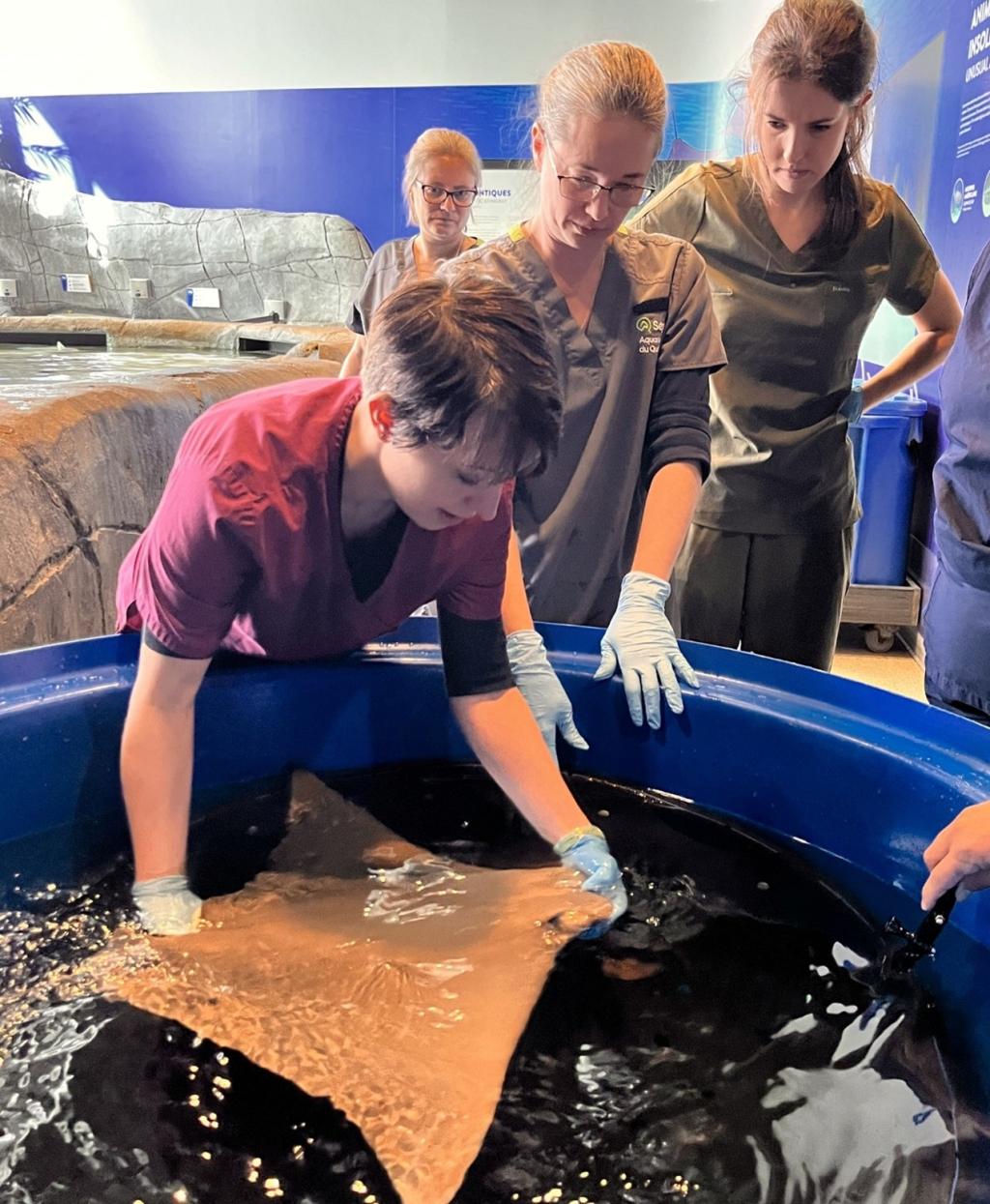 Bannière visuelle de présentation de la formation