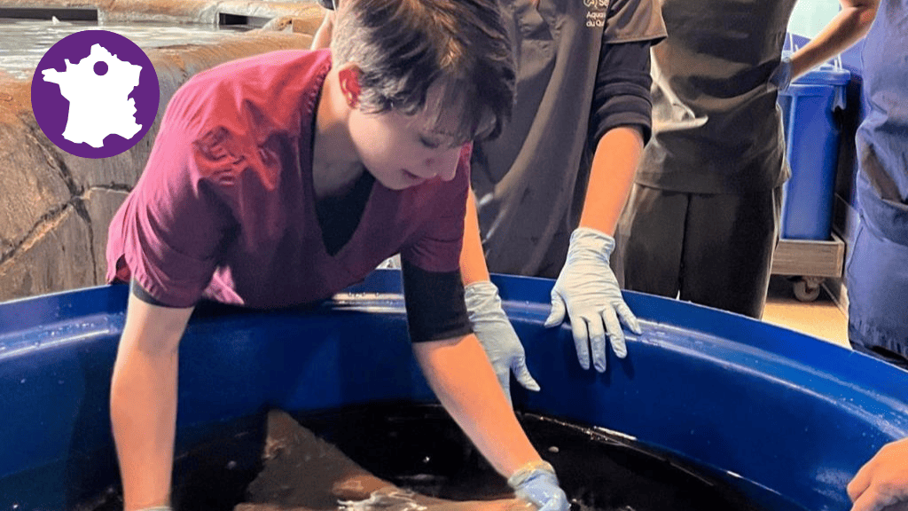 Bannière visuelle de présentation de la formation