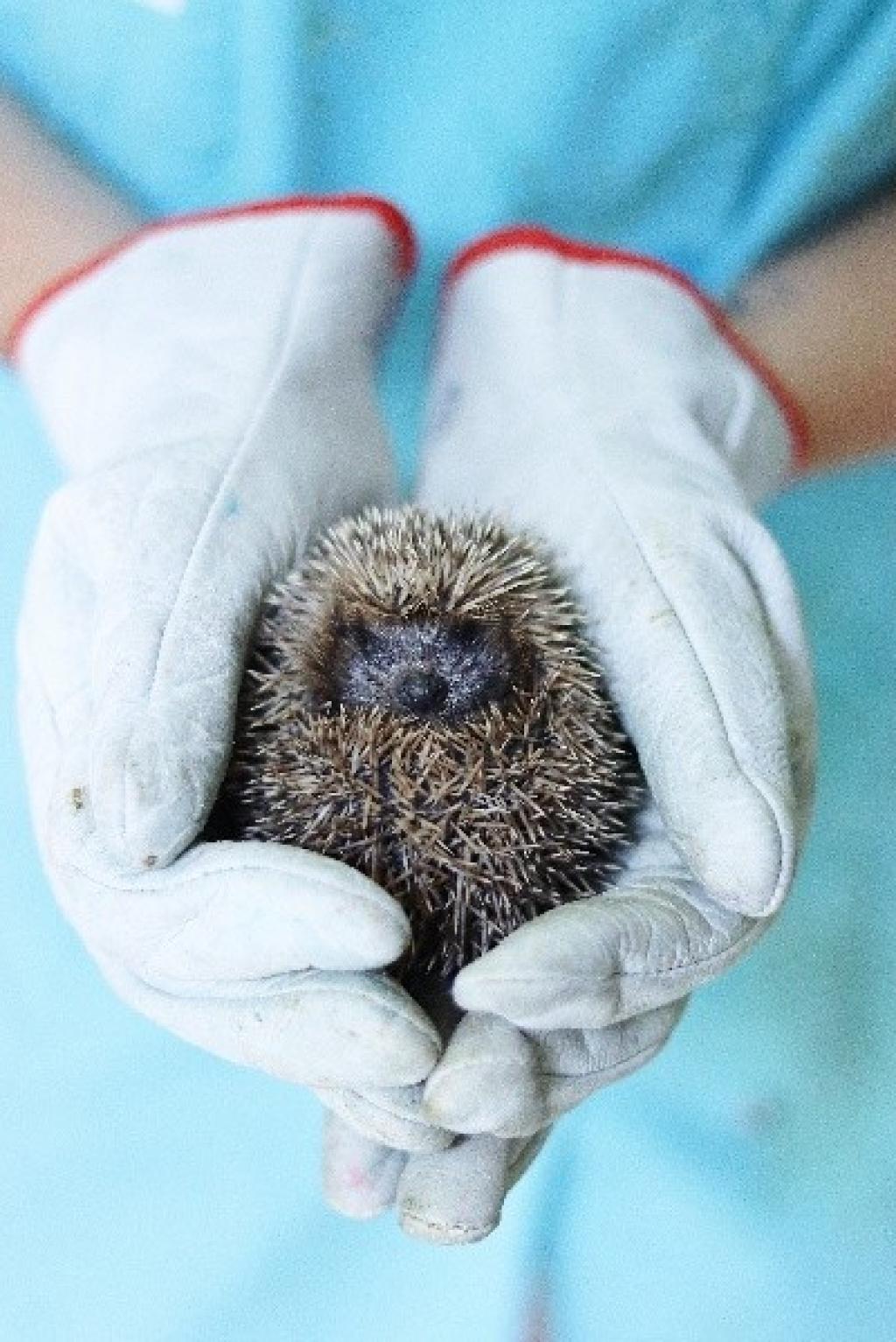 Bannière visuelle de présentation de la formation