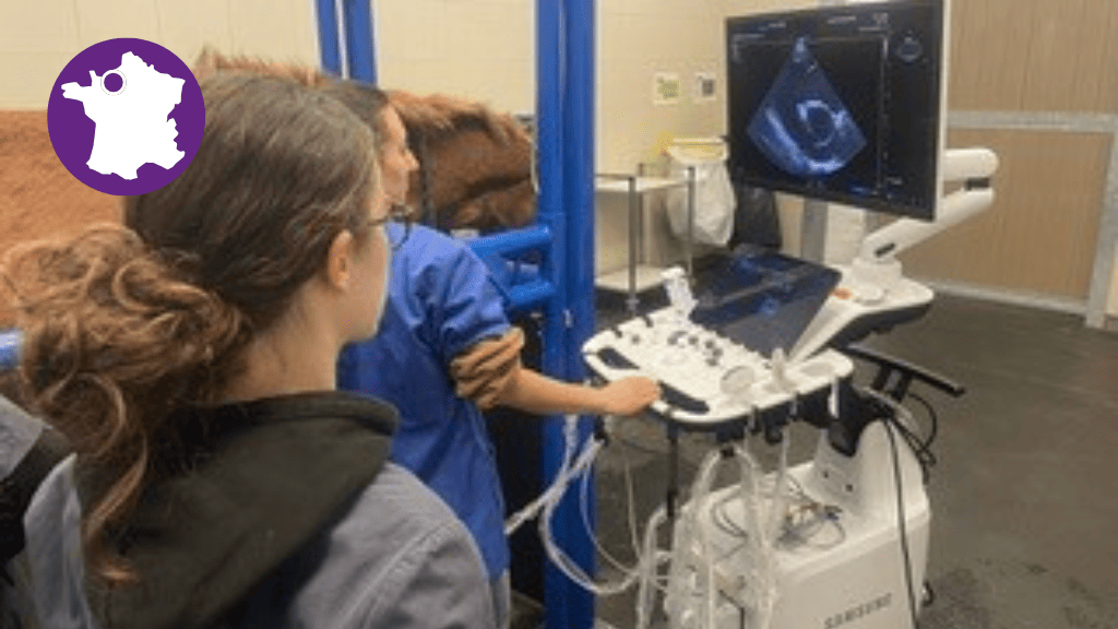 Bannière visuelle de présentation de la formation