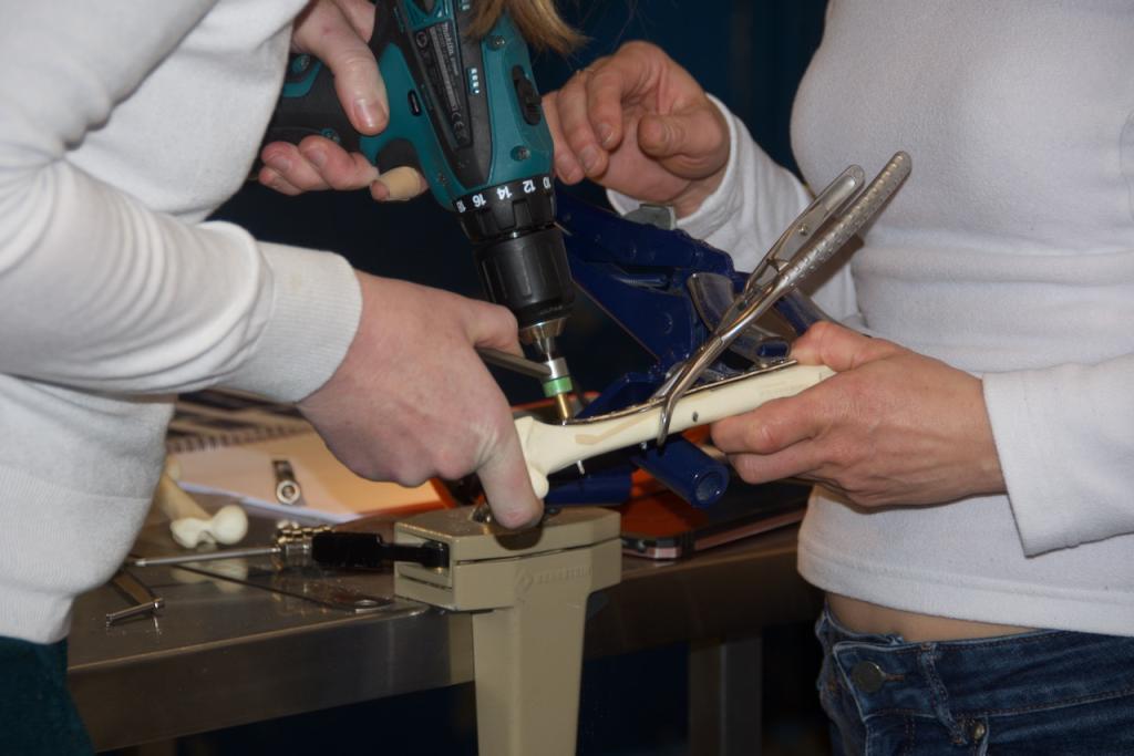 Bannière visuelle de présentation de la formation