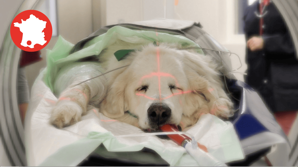 Bannière visuelle de présentation de la formation