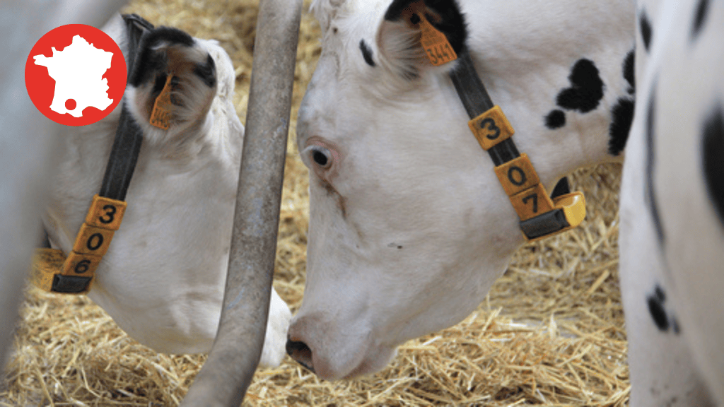Bannière visuelle de présentation de la formation