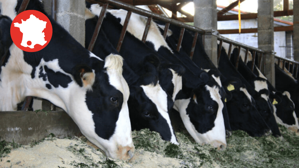 Bannière visuelle de présentation de la formation