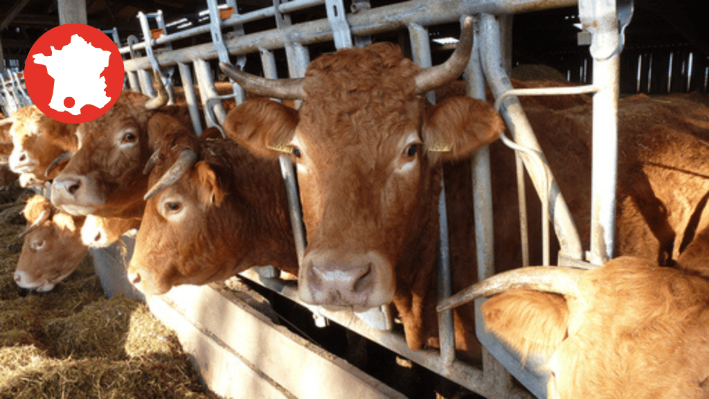 Bannière visuelle de présentation de la formation