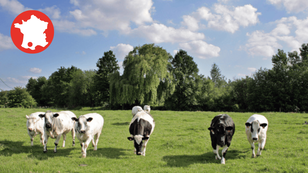 Bannière visuelle de présentation de la formation