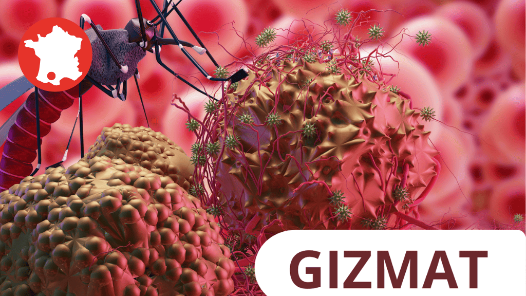 Bannière visuelle de présentation de la formation