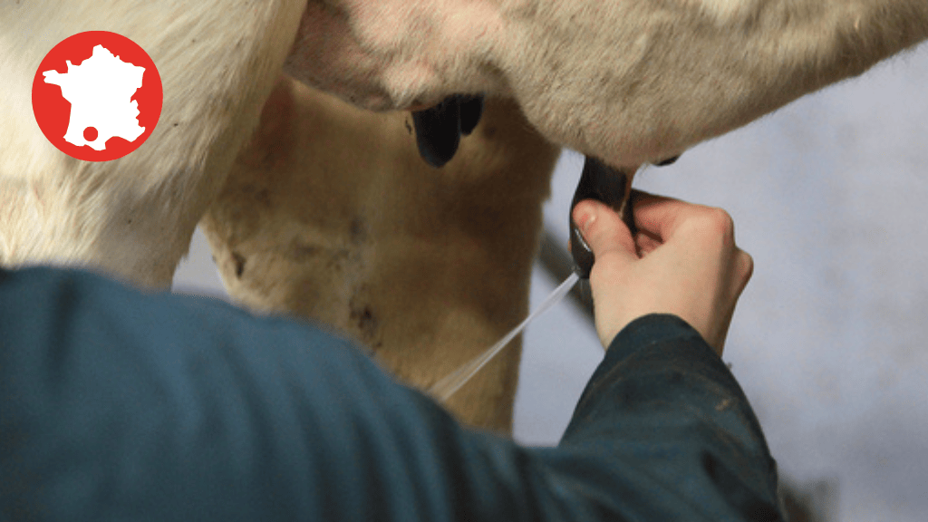 Bannière visuelle de présentation de la formation