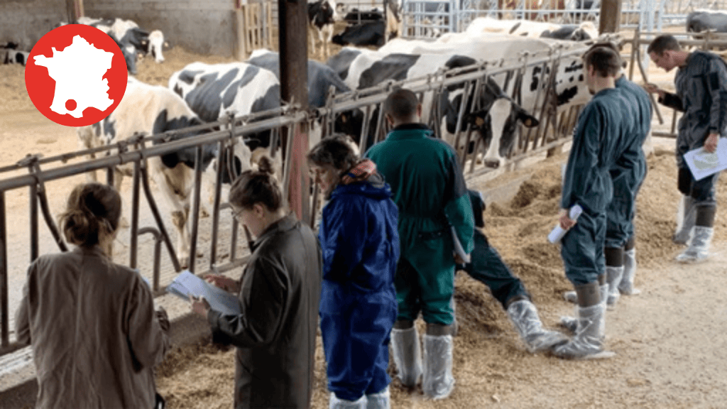 Bannière visuelle de présentation de la formation