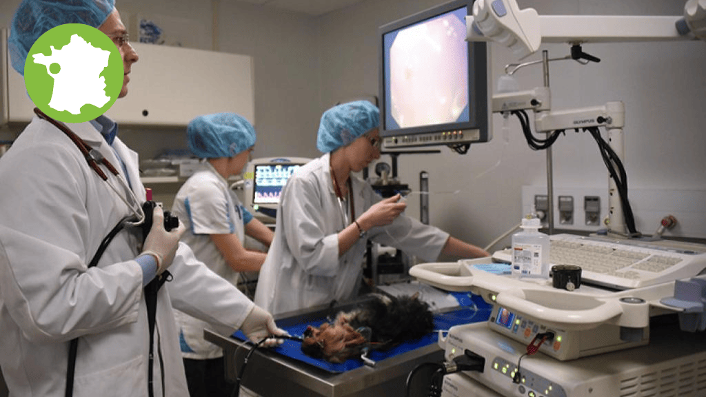 Bannière visuelle de présentation de la formation