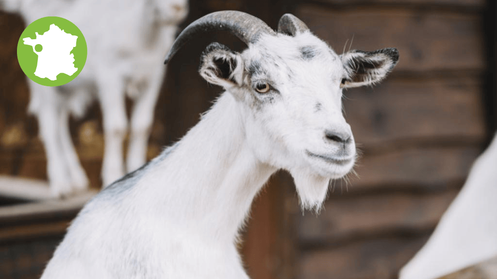 Bannière visuelle de présentation de la formation