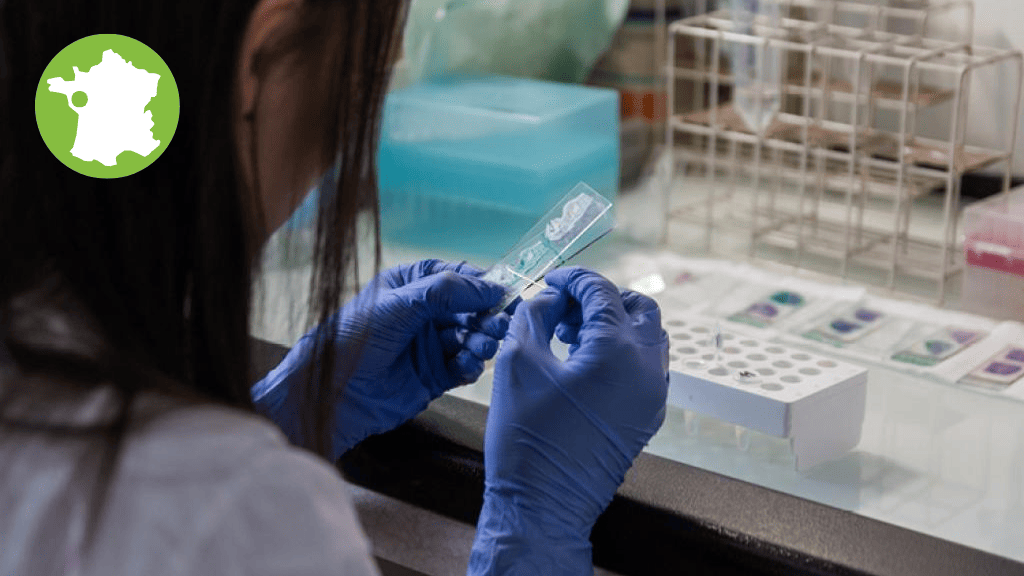 Bannière visuelle de présentation de la formation