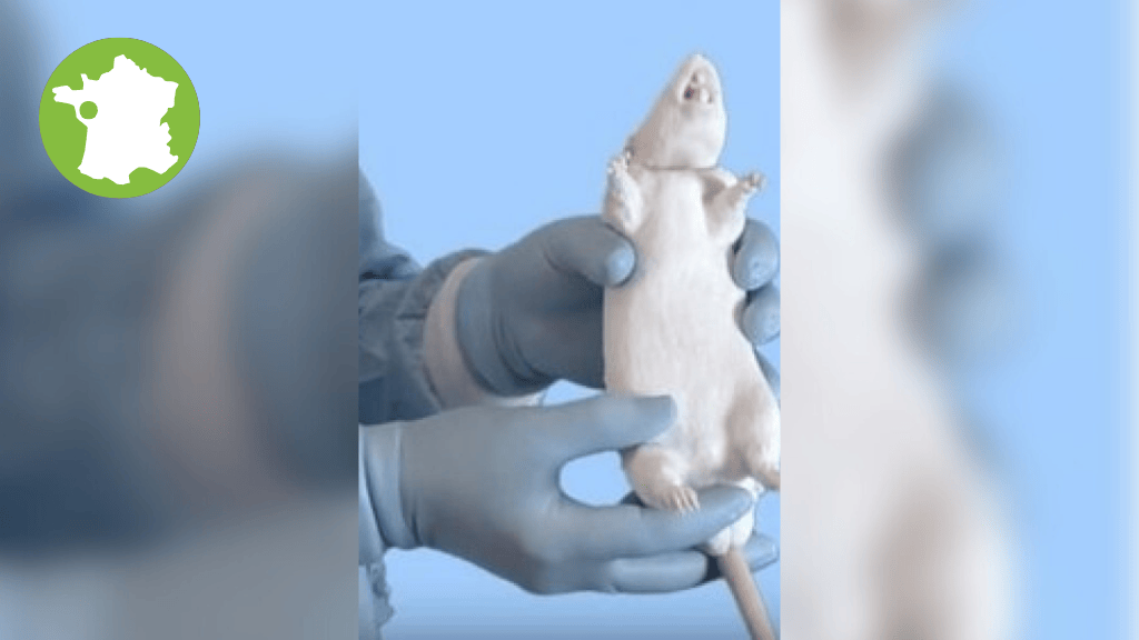 Bannière visuelle de présentation de la formation