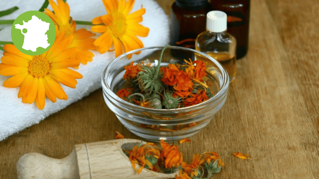 Bannière visuelle de présentation de la formation