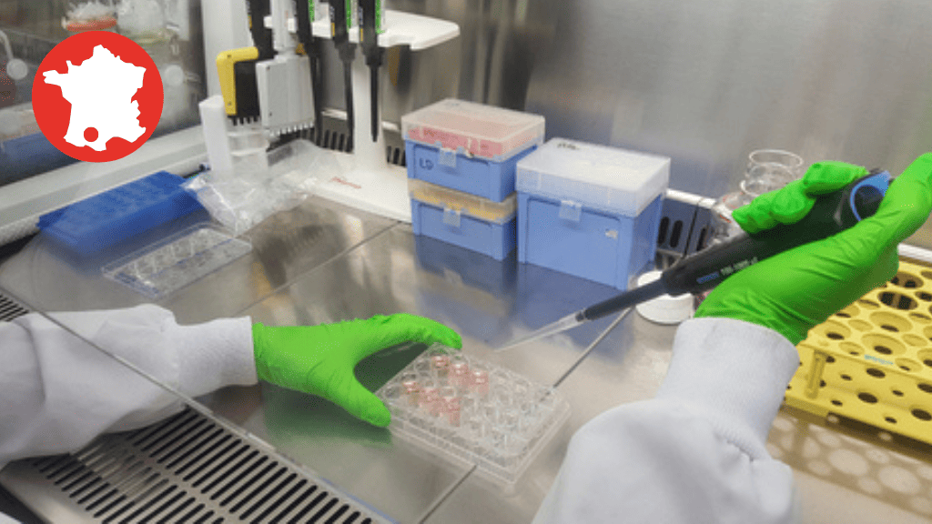 Bannière visuelle de présentation de la formation