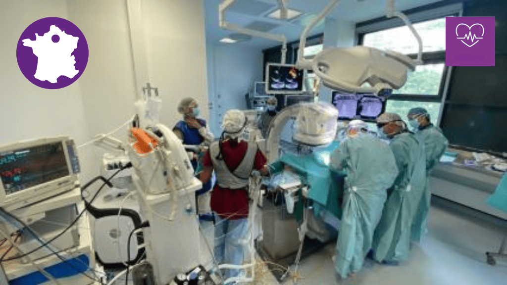 Bannière visuelle de présentation de la formation