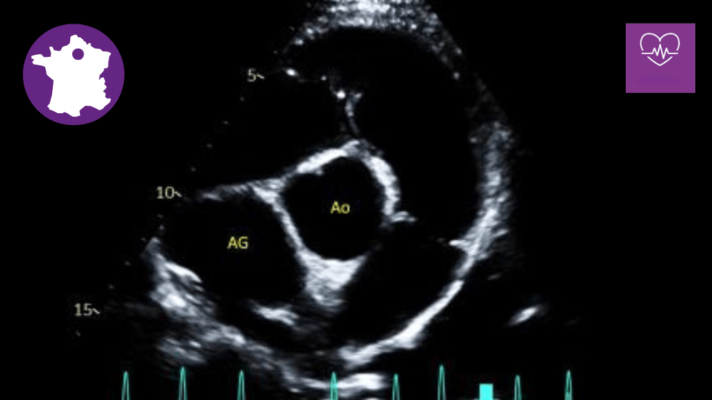 Bannière visuelle de présentation de la formation