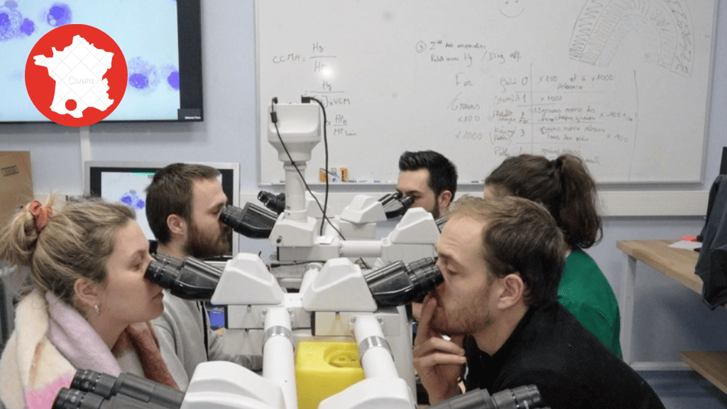 Bannière visuelle de présentation de la formation