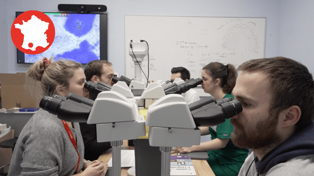 Bannière visuelle de présentation de la formation