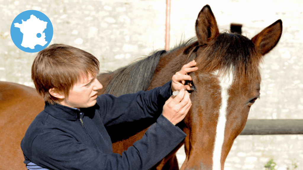 Bannière visuelle de présentation de la formation