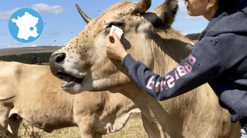 Bannière visuelle de présentation de la formation