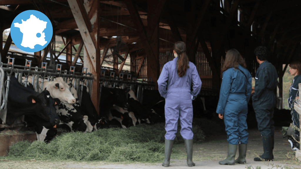 Bannière visuelle de présentation de la formation