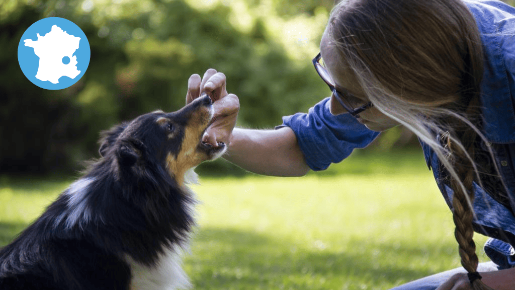 Bannière visuelle de présentation de la formation