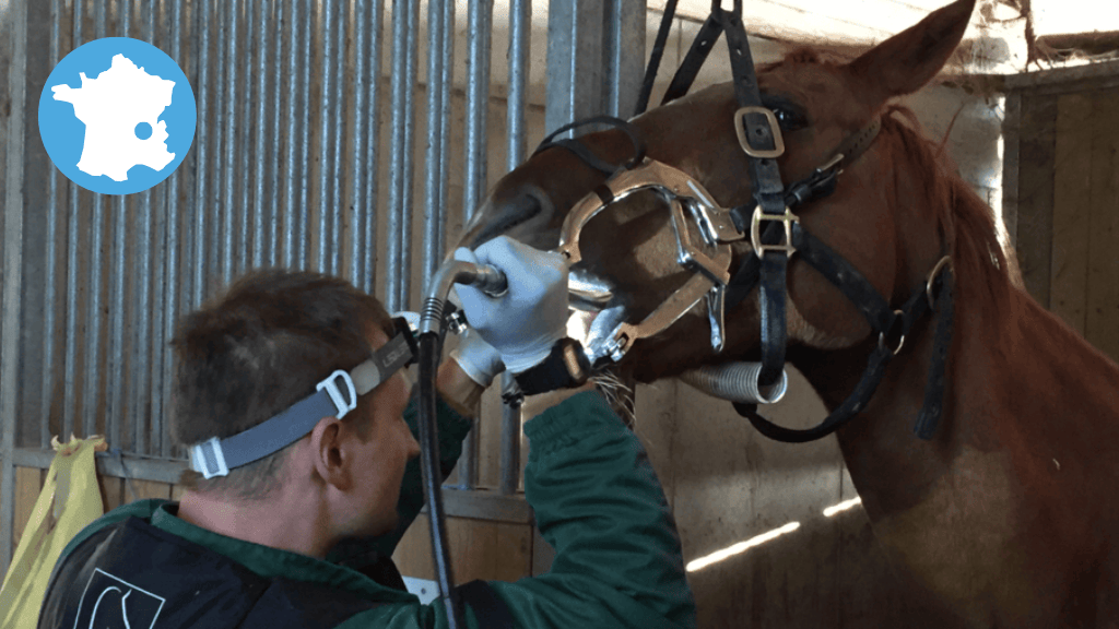 Bannière visuelle de présentation de la formation