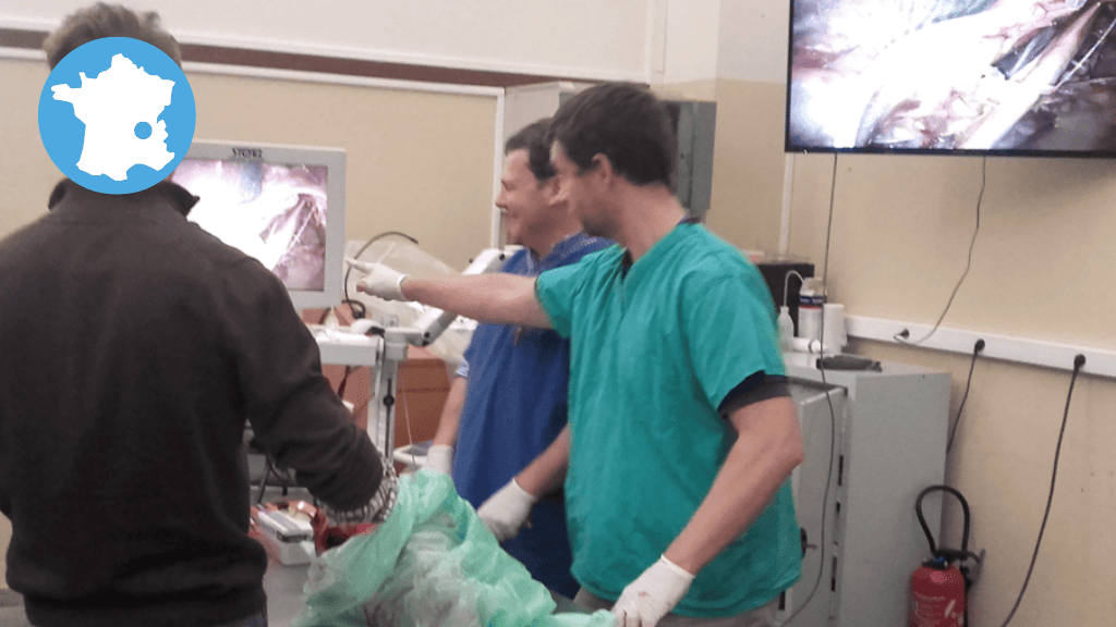 Bannière visuelle de présentation de la formation