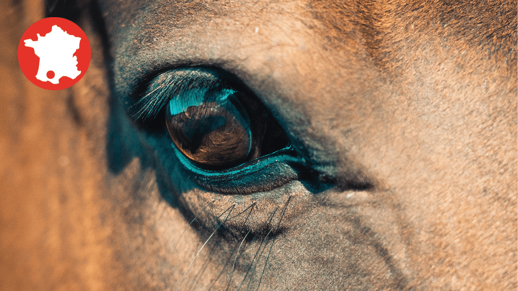 Bannière visuelle de présentation de la formation