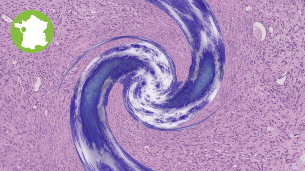 Bannière visuelle de présentation de la formation