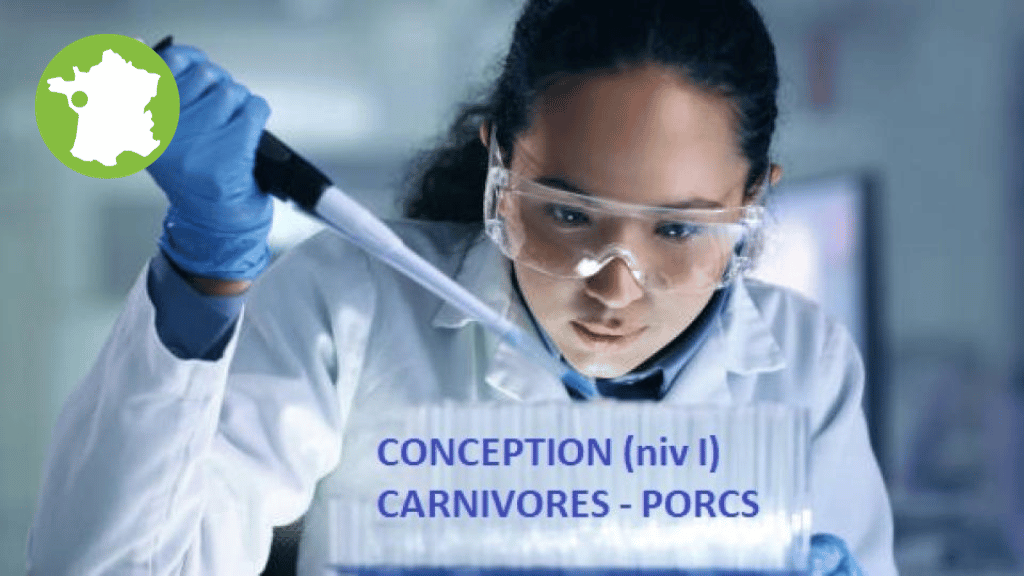 Bannière visuelle de présentation de la formation