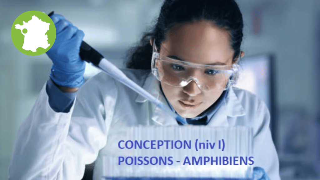 Bannière visuelle de présentation de la formation