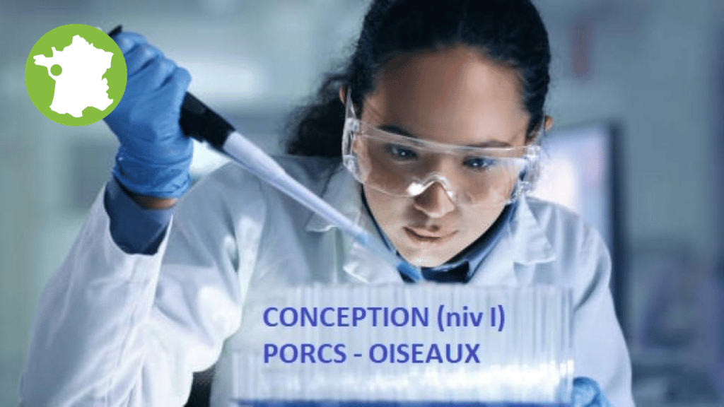 Bannière visuelle de présentation de la formation