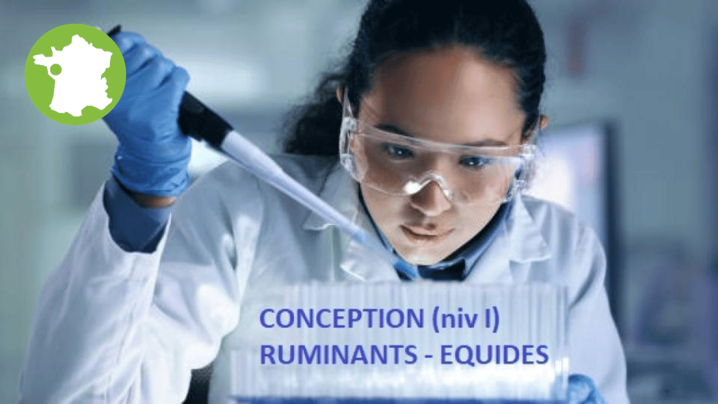 Bannière visuelle de présentation de la formation